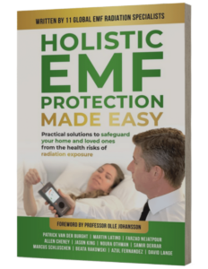 Holistic EMF protection made easy